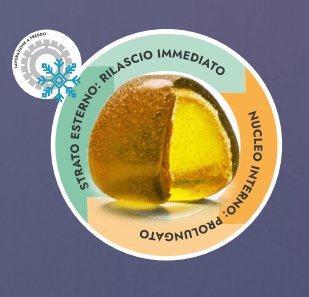 Immagine 2025 06 04 150300